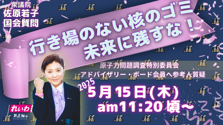 ｛国会報告｝2025/05/15　行き場のない核のゴミ、未来に残すな！参考人質疑