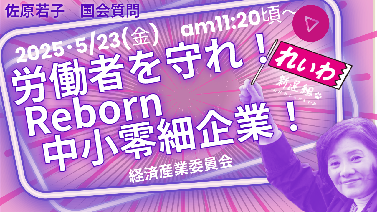 ｛国会質問｝2025/5/23 労働者を守れ！Reboen中小零細企業！