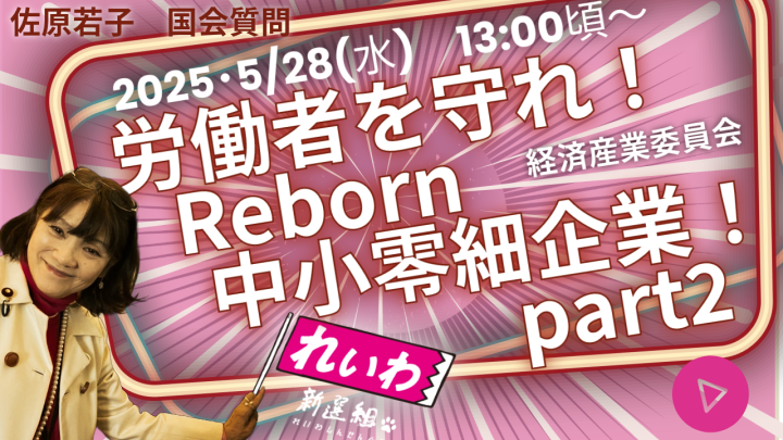 ｛国会報告｝2025/5/28 労働者を守れ！Reborn中小零細企業！part 2